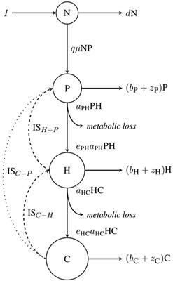 Temperature Modifies Consumer-Resource Interaction Strength Through Its Effects on Biological Rates and Body Mass